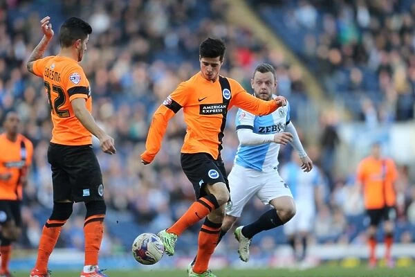 Joao Carlos Teixeira in Action: Brighton Midfielder Battles Blackburn Rovers in Championship Clash (21MAR15)
