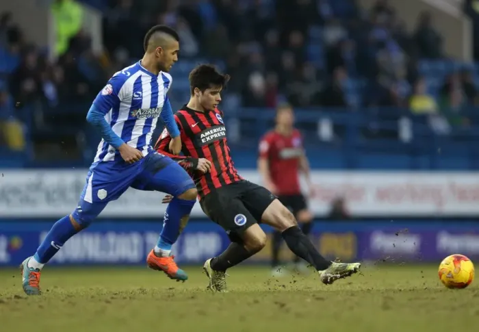 Framed Print : Joao Carlos Teixeira in Action: Brighton Midfielder Battles it Out against Sheffield Wednesday, February 2015
