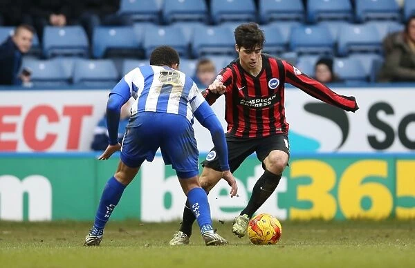 Joao Carlos Teixeira in Action for Brighton against Sheffield Wednesday, February 2015