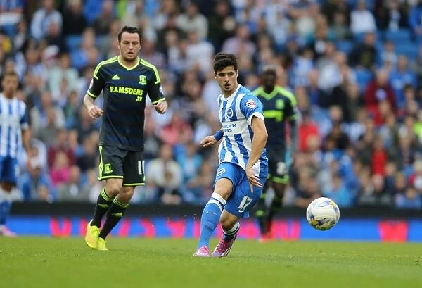 Joao Teixeira in Action: Brighton and Hove Albion vs. Middlesbrough (18Oct14)