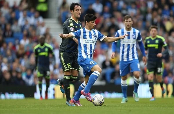Joao Teixeira in Action: Brighton and Hove Albion vs. Middlesbrough (October 18, 2014)