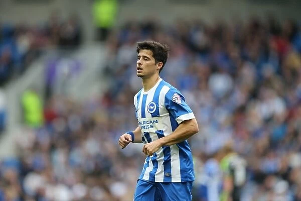 Joao Teixeira in Action: Brighton and Hove Albion vs. Middlesbrough, October 18, 2014