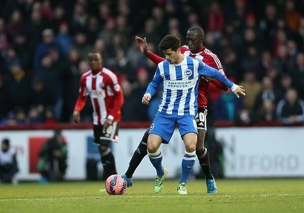 Joao Teixeira in Action: Brighton and Hove Albion vs. Brentford, FA Cup 3rd Round (Brentford 03JAN15)