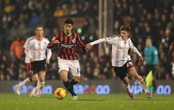 Joao Teixeira in Action: Fulham vs. Brighton & Hove Albion (29DEC14)