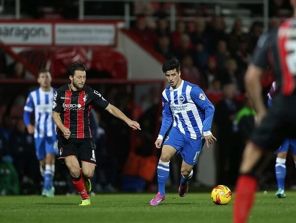 Joao Teixeira of Brighton and Hove Albion in Action at American Express Community Stadium during SkyBet Championship Match vs Bournemouth (November 2014)