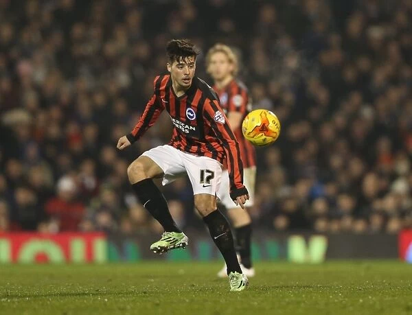 Joao Teixeira: Thrilling Moments from Fulham vs. Brighton & Hove Albion (December 2014)