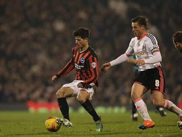 Joao Teixeira: Thrilling Moments from Fulham vs. Brighton & Hove Albion (December 29, 2014)