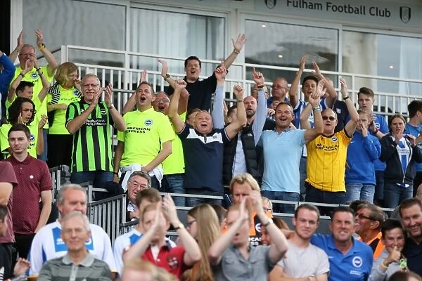 Jubilant Albion Fans Celebrate Championship Victory at Craven Cottage (Fulham vs. Brighton & Hove Albion, 15th August 2015)