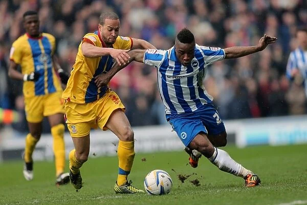 Kazenga LuaLua: In Action for Brighton & Hove Albion Against Crystal Palace, March 17, 2013