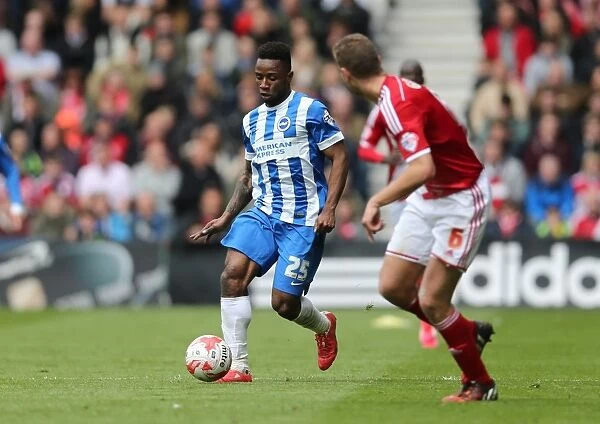 Kazenga LuaLua in Action: Middlesbrough vs. Brighton & Hove Albion, May 2015 (Sky Bet Championship)