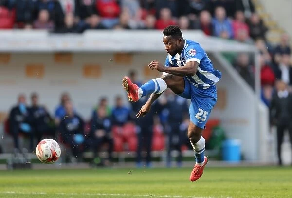 Kazenga LuaLua in Action: Rotherham United vs. Brighton and Hove Albion, Sky Bet Championship, 6th April 2015