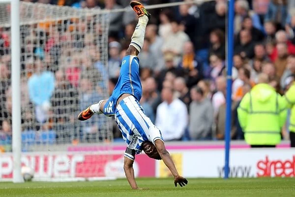 Kazenga LuaLua's Goal and Celebration: Brighton & Hove Albion Takes a 2-0 Lead over Wolverhampton Wanderers (May 4, 2013)