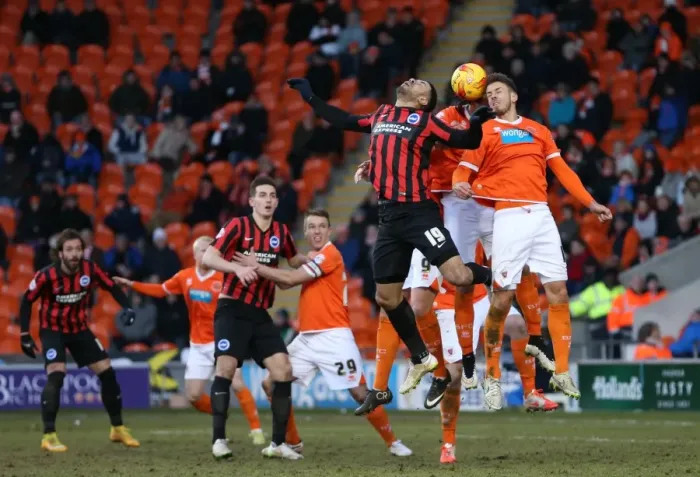 Framed Print : Leon Best in Action: Brighton and Hove Albion vs. Blackpool, Sky Bet Championship (31st January 2015) Framed Print : Leon Best in Action: Brighton and Hove Albion vs. Blackpool, Sky Bet Championship (31st January 2015)