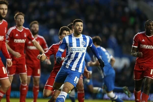 Leon Best in Action: Brighton and Hove Albion vs Nottingham Forest, Sky Bet Championship Clash at American Express Community Stadium (7th February 2015)