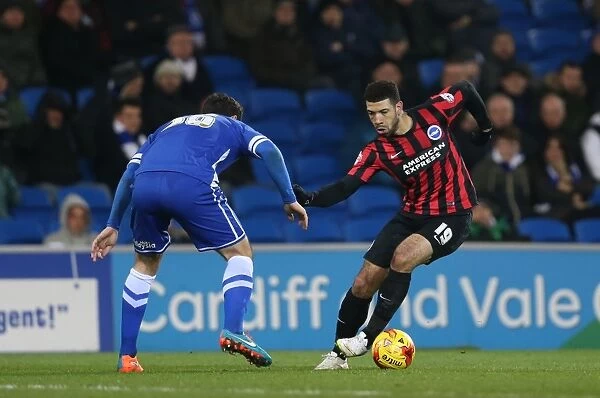 Leon Best in Action: Cardiff City vs. Brighton and Hove Albion, Sky Bet Championship 2015