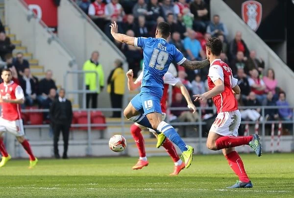 Leon Best in Action: Rotherham United vs. Brighton and Hove Albion, Sky Bet Championship, 6th April 2015