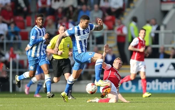 Leon Best Scored for Brighton Against Rotherham United in Championship Match, April 2015
