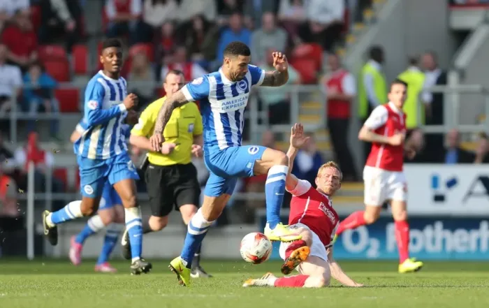 Framed Print : Leon Best Scored for Brighton Against Rotherham United in Championship Match, April 2015 Framed Print : Leon Best Scored for Brighton Against Rotherham United in Championship Match, April 2015