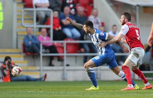 Leon Best Scores for Brighton Against Rotherham United in Sky Bet Championship Match, April 2015