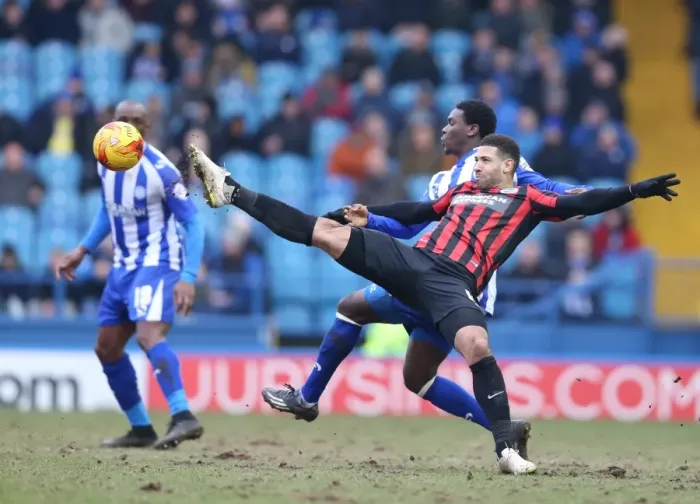 Framed Print : Leon Best Scores for Brighton Against Sheffield Wednesday, 14 February 2015 Framed Print : Leon Best Scores for Brighton Against Sheffield Wednesday, 14 February 2015