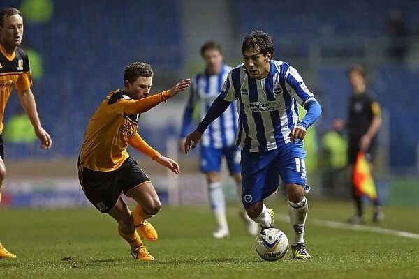 Leonardo Ulloa's Focus: Brighton & Hove Albion vs Hull City, Npower Championship (February 9, 2013)