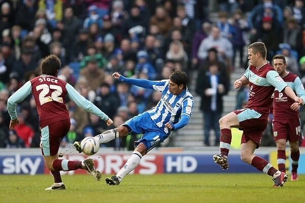 Leonardo Ulloa's Shot: Brighton & Hove Albion vs Burnley, Npower Championship, Amex Stadium (February 23, 2013)