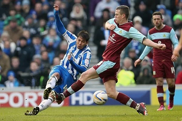 Leonardo Ulloa's Thrilling Shot: Brighton & Hove Albion vs. Burnley, Npower Championship, Amex Stadium (February 23, 2013)