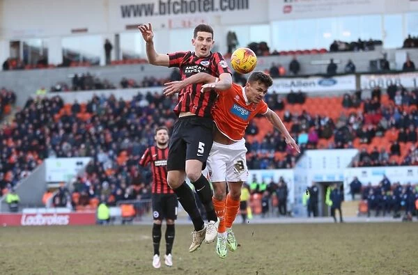 Lewis Dunk in Action: Brighton and Hove Albion vs. Blackpool, Sky Bet Championship (31Jan15)