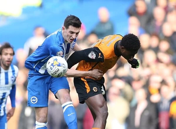 Lewis Dunk in Action: Brighton & Hove Albion vs. Wolverhampton Wanderers, Sky Bet Championship Clash (14March15)