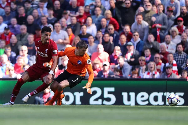 Liverpool vs. Brighton & Hove Albion: Intense Premier League Showdown at Anfield on 13May18