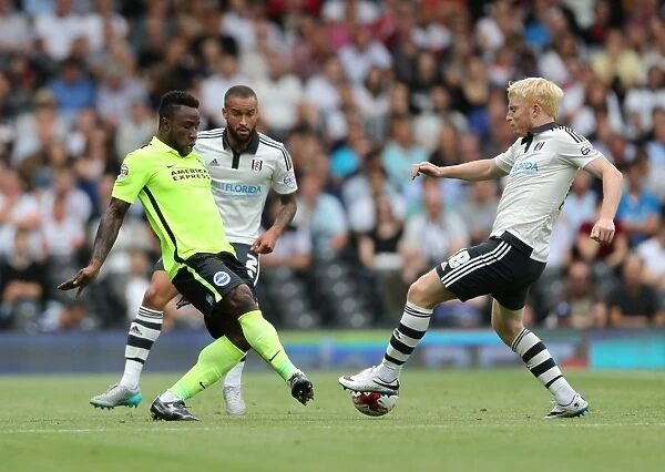 LuaLua in Action: Fulham vs. Brighton and Hove Albion, Sky Bet Championship 2015