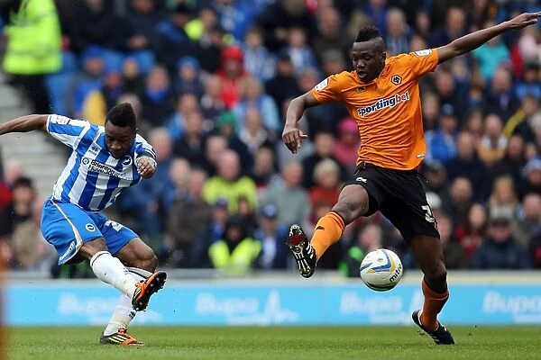LuaLua Scores the Opener: Brighton & Hove Albion Lead 1-0 against Wolverhampton Wanderers (May 4, 2013)