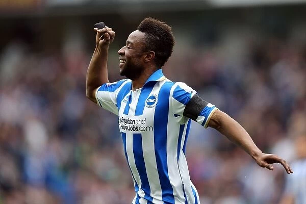 LuaLua Strikes: Brighton Takes 1-0 Lead Over Wolves (May 4, 2013)