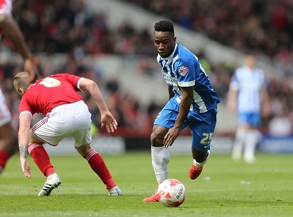 LuaLua's Brilliant Performance: Brighton Triumphs Over Middlesbrough in May 2015 (Middlesbrough 02MAY15)
