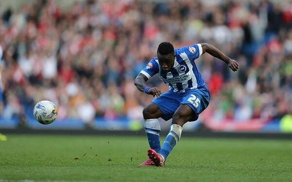 LuaLua's Cross: A Moment from Brighton v Middlesbrough (18OCT14)