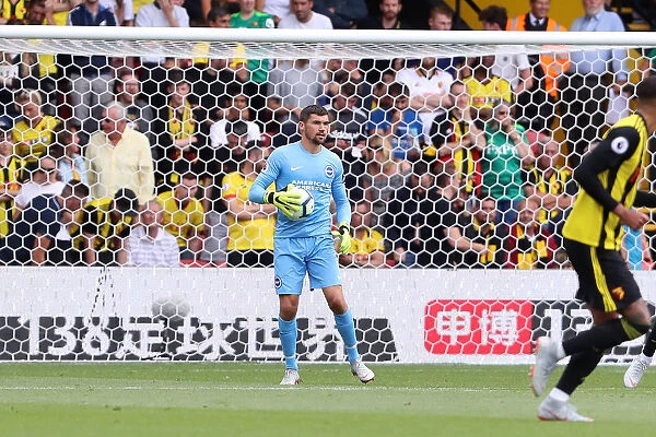 Mathew Ryan in Action: Brighton and Hove Albion vs. Watford, Premier League (11th August 2018)