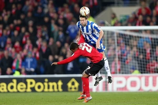 Matthew Upson in Action for Brighton & Hove Albion against Cardiff City, Npower Championship, February 19, 2013