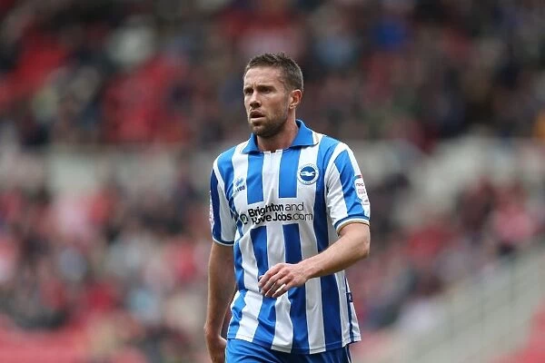Matthew Upson of Brighton & Hove Albion in Action against Middlesbrough, April 13, 2013