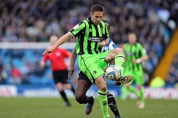 Matthew Upson's Debut for Brighton & Hove Albion against Sheffield Wednesday, February 2013