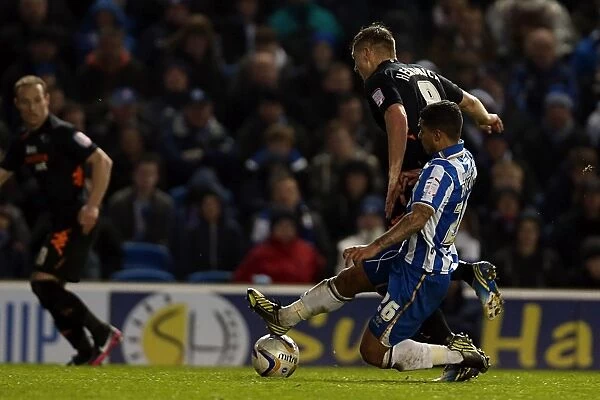 A Memorable Home Game: Brighton & Hove Albion vs. Derby County (January 12, 2013)