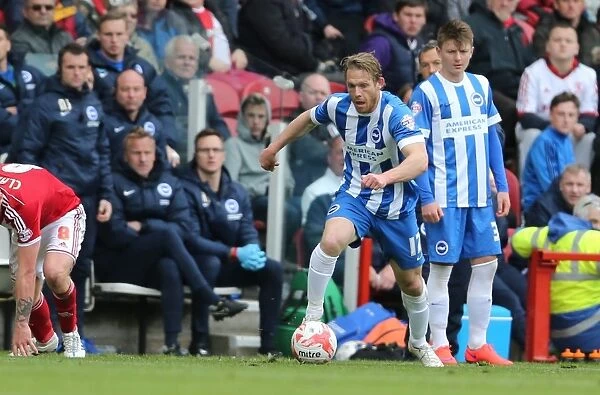 Middlesbrough vs. Brighton & Hove Albion: Craig Mackail-Smith in Action (02MAY15)