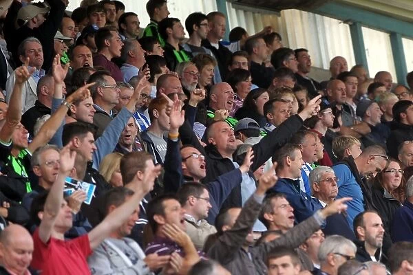 Millwall vs. Brighton & Hove Albion: 2012-13 Away Game