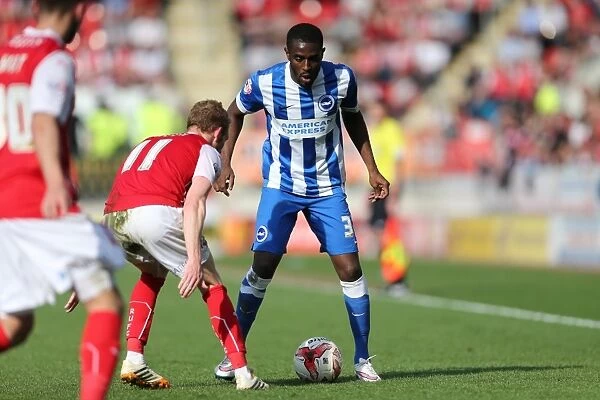 Mustapha Carayol: In Action for Brighton and Hove Albion vs. Rotherham United, Sky Bet Championship, 6th April 2015