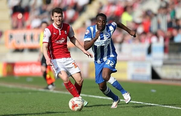Mustapha Carayol: In Action for Brighton against Rotherham, Sky Bet Championship, 6th April 2015