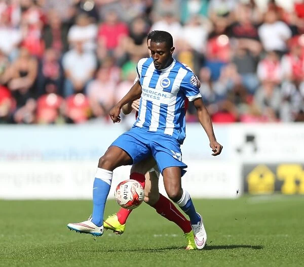 Mustapha Carayol in Action: Rotherham United vs. Brighton and Hove Albion, Sky Bet Championship, 6th April 2015