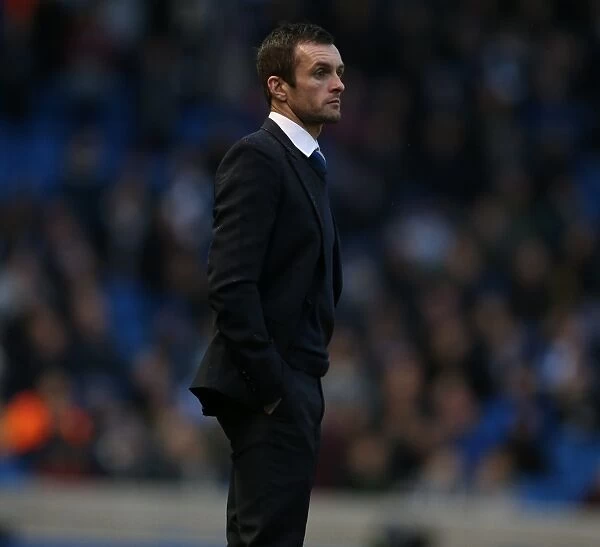 Nathan Jones in Action: Brighton and Hove Albion vs. Reading, American Express Community Stadium (26DEC14)