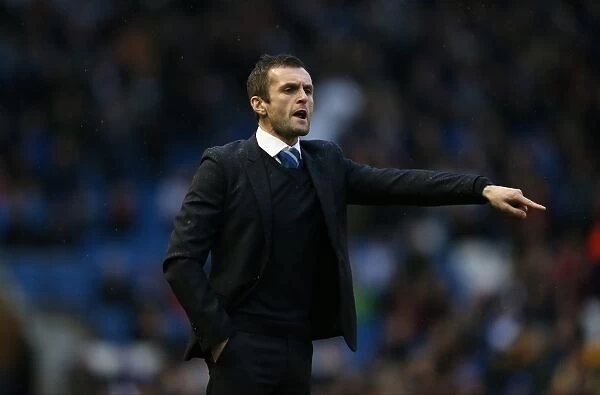 Nathan Jones in Action: Brighton and Hove Albion vs. Reading, December 2014 (Sky Bet Championship)