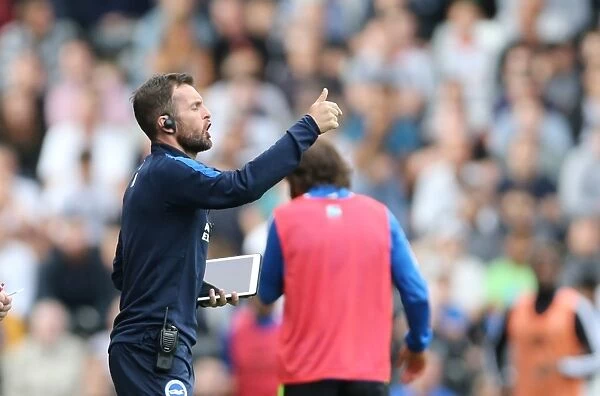 Nathan Jones in Action: Brighton & Hove Albion vs Fulham, Sky Bet Championship Clash at Craven Cottage (15 / 08 / 2015)