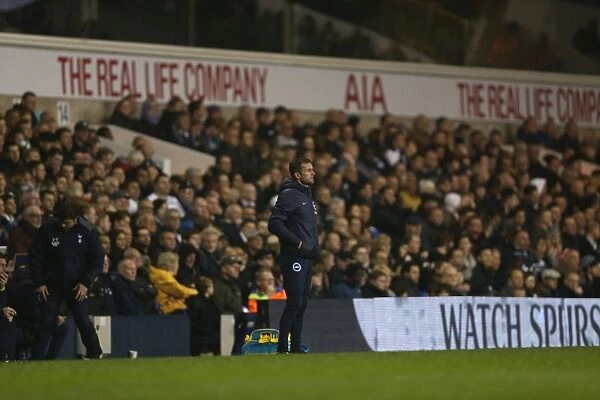 Nathan Jones Faces Off Against Tottenham: Brighton vs. Tottenham Hotspur in the Capital One Cup, October 2014