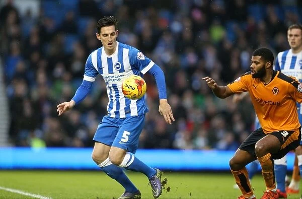 New Year's Battle in the Championship: Brighton and Hove Albion vs. Wolverhampton Wanderers (01 / 01 / 2016)